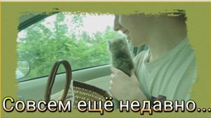 Лёлик, хранитель нашего очага. Город украшают к рождеству.