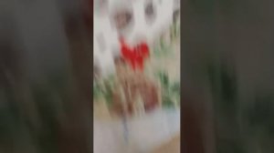 я вас ребята обожаю и крабики  симпатяшки и вы