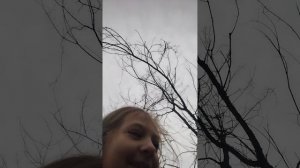 Гуляю с Лизкой-Маркизкой.