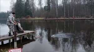 Поимки форели как на закидушки, так  и на спиннинг. Клёвое место, Лосиный остров, верхний водоём.