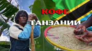 Варим настоящий кофе в Танзании (Африка) #Coffe #arabica #africa #adventure #tanzania #Кофе #африка