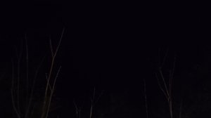 Анапа вечерняя. Потеплело после дождей. Набережная Высокий Берег. 8 декабря 2025. 18.00