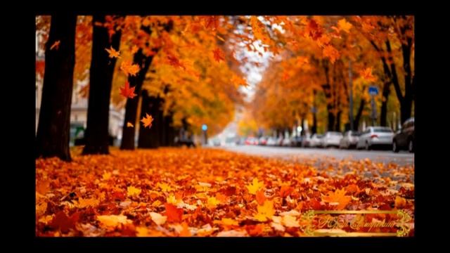 Как дела  Простой вопрос повис в тумане