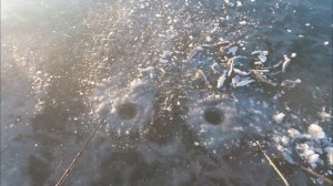 КЛЕВАЯ РЫБАЛКА со льда. БЕШЕНЫЙ КЛЕВ. НАВАГА и КАМБАЛА.