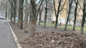 ЖЕНЩИНА РИММА, ЕЛЕНА ШАПОКЛЯК (знакомство)