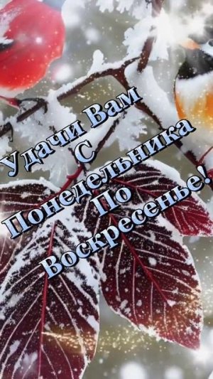 Скетч -шоу. Юмористические видеоролики.