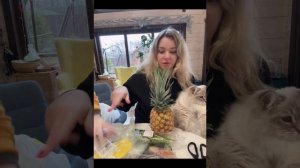 Распаковка чек обзор! 🛍️ мукбанг влог болталка 😜 едим ананас 🍍🙀 Платон охотится на птиц