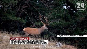 Охрану уникальных природных территорий развивают в Крыму