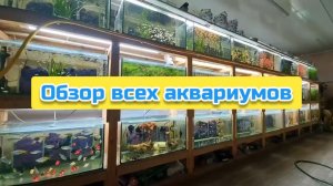 Обзор всех аквариумов