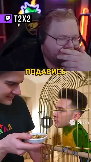 КРАСАВИЦА - #t2x2 #т2х2 #twitch #реакция #юмор #мем #shorts смотреть онлайн