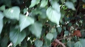 Съёмка 5.12.25г.