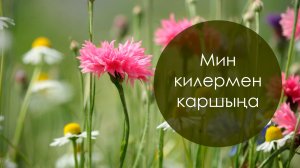 Мин килермен каршыңа. Фәтхерахман Әхмәдиев көе, Шамил Рәкыйпов сүзләре.