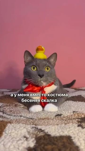 волшебный листик смотреть онлайн