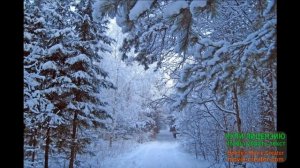 ЗИМНЯЯ СКАЗКА. А СНЕГ ВСЁ КРУЖИТСЯ И ПАДАЕТ! РЕЛАКС