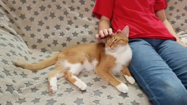 Алексей Кирсанов, 3 возрастная категория