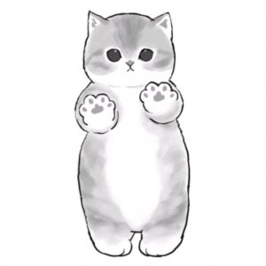 Бася не захотел спать