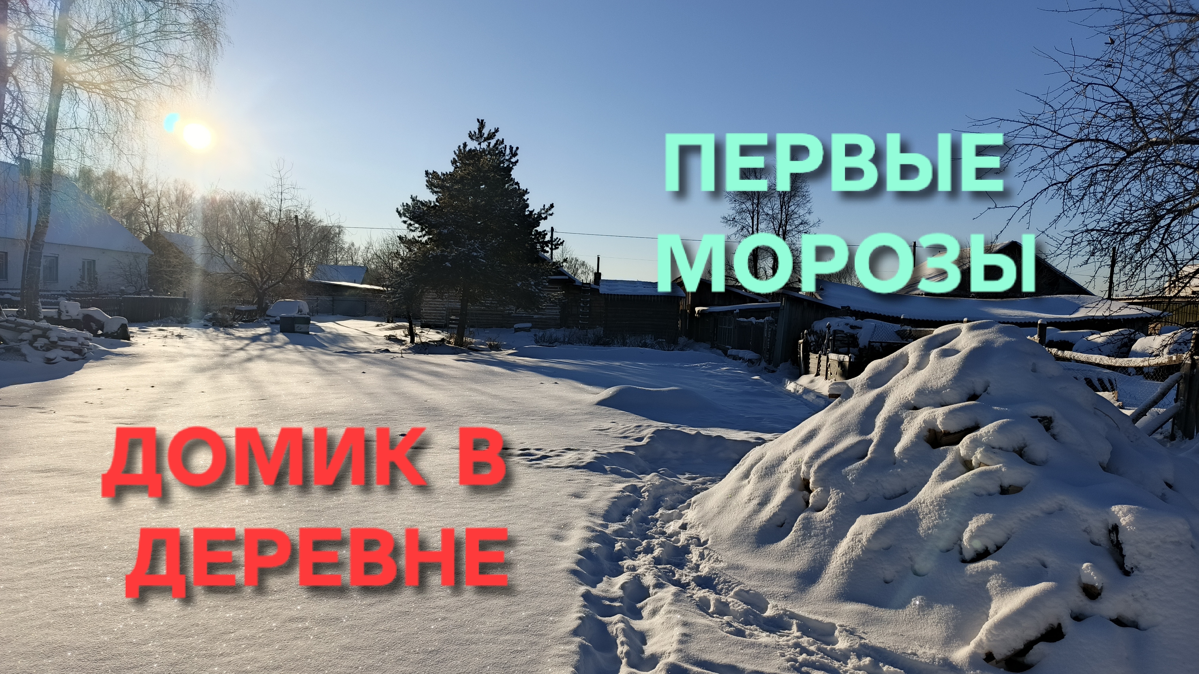 Жизнь в деревне Дождались первых морозов Как куры пережили первый мороз Топим печь валежником