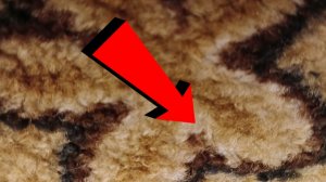 Как почистить ковролин дома на полу не снимая За 3 минуты.!