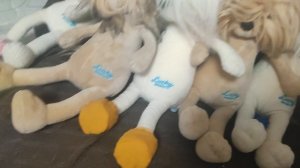 Обзор на одежду Басика и Lucky doggy