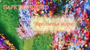 Краснодар Парк Галицкого Кроличья нора