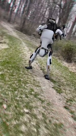 Роботы от Boston Dynamics поражают своей ловкостью