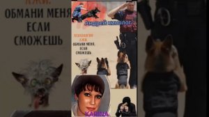 Звонилка скорострел.