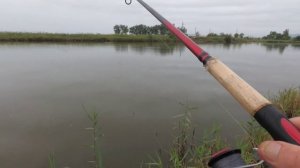 ЛОВЛЯ САРГАНА НА СПИННИНГ РЫБАЛКА НА САРГАНА С БЕРЕГА #жекарыболов #ловлясаргана