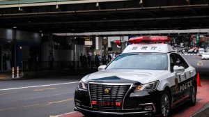 Разрубленного младенца нашли в морозилке в центре развлечений для взрослых