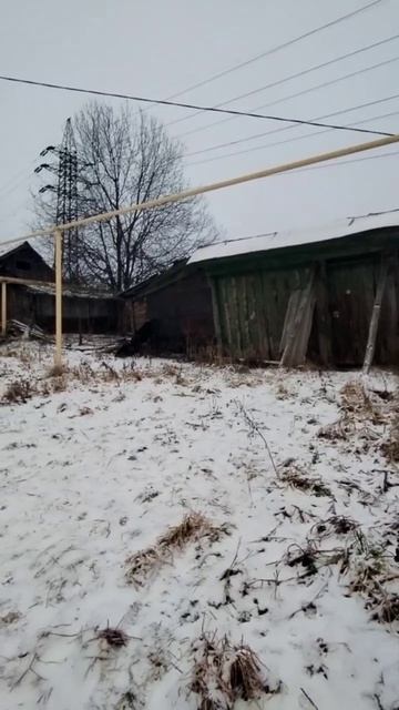 video_2025-12-08_11-33-45 смотреть онлайн