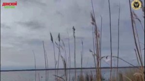 Охота на гуся .