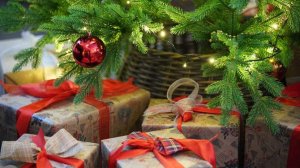 Роспотребнадзор объявил о запуске горячей линии по выбору новогодних подарков