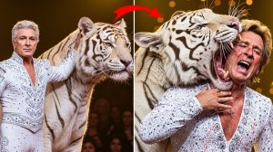 ПРЯМОЙ ЭФИР: Смерть Рой Хорн: ТИГР ЕГО УБИЛ? НИКТО не знал, что произошло на самом деле!