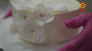 Социальный фонд России напоминает самозанятым о возможности формировать свою пенсию