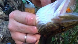 Не каждый Рыбак- охотник,но каждый Охотник-рыбак