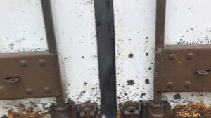 VID_20251208_124559.mp4