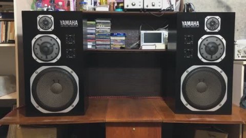 Yamaha NS1000M 12.2025