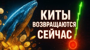 КИТЫ ТАЙНО ПОКУПАЮТ БИТКОИН | РОСТ ЭФИРА ВПЕРЕДИ | СТАВКА ФРС | КРИПТА НЕ СПИТ 08.12.2025