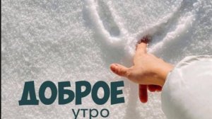 Доброе утро понедельник – без суеты и с лёгкими мыслями﻿