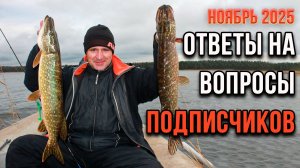 Ответы на вопросы подписчиков за ноябрь 2025 года.