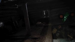 Приступили к наведению порядка в сарае