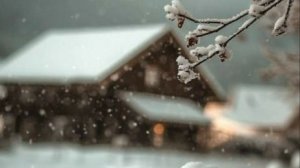 красивые пожелания доброго утра понедельника - понедельник утро хорошей недели