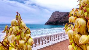 Новый Свет, зимний Крым. Шторм и горы в декабре. Набережная.