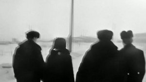 1975 год. Тюмень. Лесоперевалочный комбинат