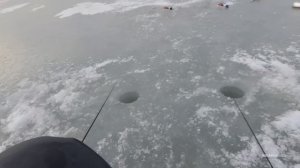 УГОЛЬНАЯ снова раздаёт. Рыбалка КРУПНОЙ СЕЛЁДКИ на серебряные блёсна.