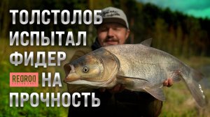 Толстолоб испытывает фидер на прочность