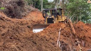 Строительство, расчистка дороги в лесу