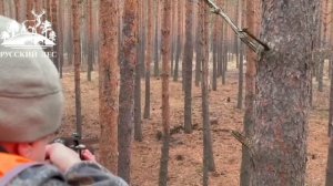 Тамбовская область: охота на кабана 2025 в охотхозяйстве "Лебяжье"