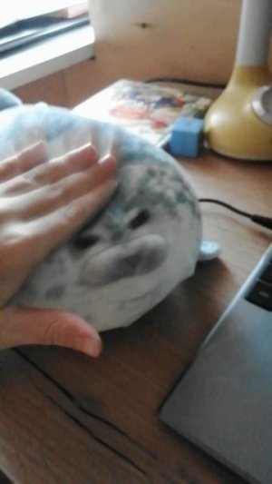 ШОК!!! Витя дал мистеру корасю пульт от ядерки. 🖲️