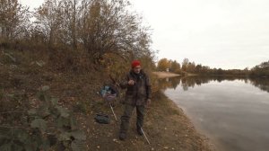 Прикормка для холодной воды. Чеснок или перец