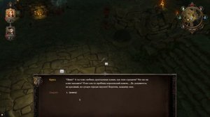 Начало прохождения | Divinity: Original Sin #2